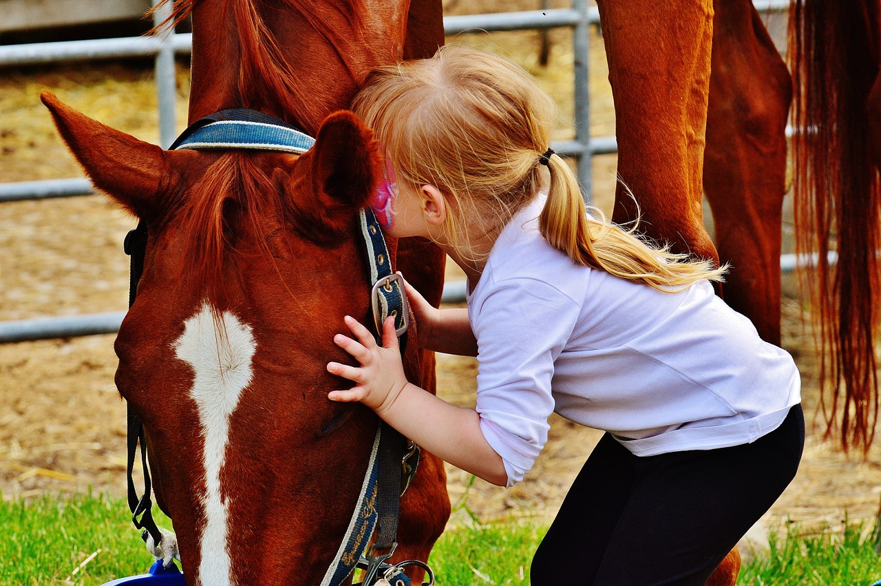 horse-care